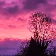 Hautot-Saint-Sulpice 01/01/2025