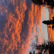 Ferme Saint-George 02/01/2025