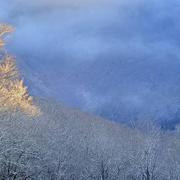 Mont Aigoual (Gard / Lozère) 02/01/2025