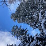 La Petite-Fosse 03/01/2025