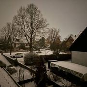 Rosheim 05/01/2025