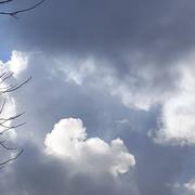 Saint-Valery-en-Caux 06/01/2025