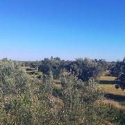 Ksour Essef 10/01/2025