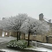 Saint-Denis-de-Gastines 11/01/2025