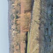 Petit-Palais-et-Cornemps 12/01/2025