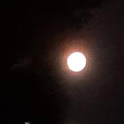 Saint-Juéry 14/01/2025