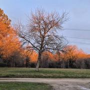 La Taleyrandie 19/01/2025