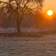 Chaumont-sur-Tharonne 20/01/2025