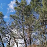 Vals-les-Bains 23/01/2025