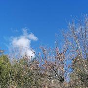 Vals-les-Bains 23/01/2025