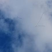 Rochechouart 24/01/2025