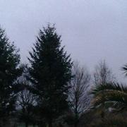 La Croix-Helléan 26/01/2025