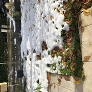 La Ville-du-Bois 01/02/2025