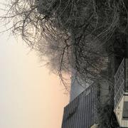 Changis-sur-Marne 02/02/2025