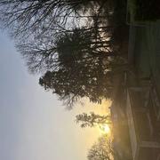 Chantonnay 03/02/2025