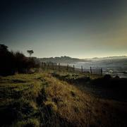 Ars-en-Ré 03/02/2025