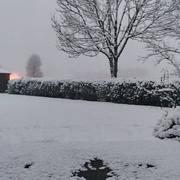 Crandelles 08/02/2025