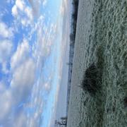 Regnéville-sur-Mer 09/02/2025