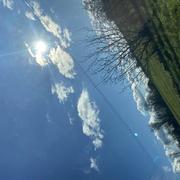 Montreuil-Bellay 10/02/2025