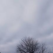 Villers-Semeuse 12/02/2025