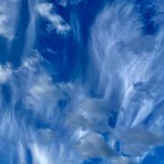 L'Isle-sur-la-Sorgue 13/02/2025