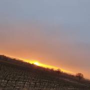 Lédignan 14/02/2025