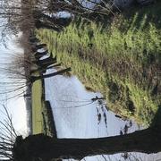 Oud-Alblas 16/02/2025