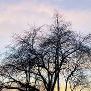 Coulommiers 25/02/2025