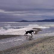 Saint-Cyprien 25/02/2025