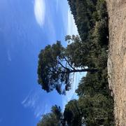 Saint-Zacharie 02/03/2025