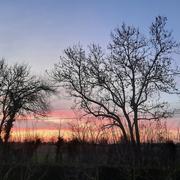 Fontaine-la-Louvet 03/03/2025