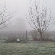 Neuve-Chapelle 04/03/2025