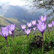 Tardets-Sorholus 19/10/2010