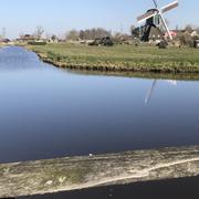 Bleskensgraaf ca 07/03/2025