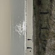 Barbâtre 09/03/2025