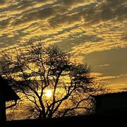 Saint-Vaast-en-Chaussée 11/03/2025