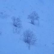 Piau-Engaly 11/03/2025