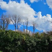 Dangé-Saint-Romain 12/03/2025