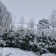 Zarbeling 13/03/2025