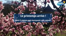 L'équinoxe, c'est ce vendredi : quels sont les cinq signes de l'arrivée du printemps en France ?