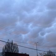 Clermont-Ferrand 22/03/2025