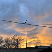 Clermont-Ferrand 22/03/2025