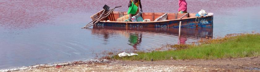 Au Sénégal, le lac Rose retrouve sa couleur mythique et ses touristes ravis
