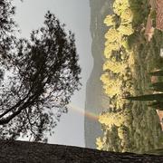 Belgentier 28/03/2025