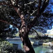 Soorts-Hossegor 02/04/2025