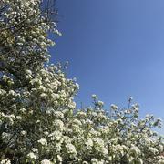 Lesménils 05/04/2025