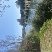 Mandelieu-la-Napoule 07/04/2025