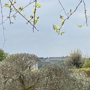 Villeneuve-lès-Avignon 07/04/2025