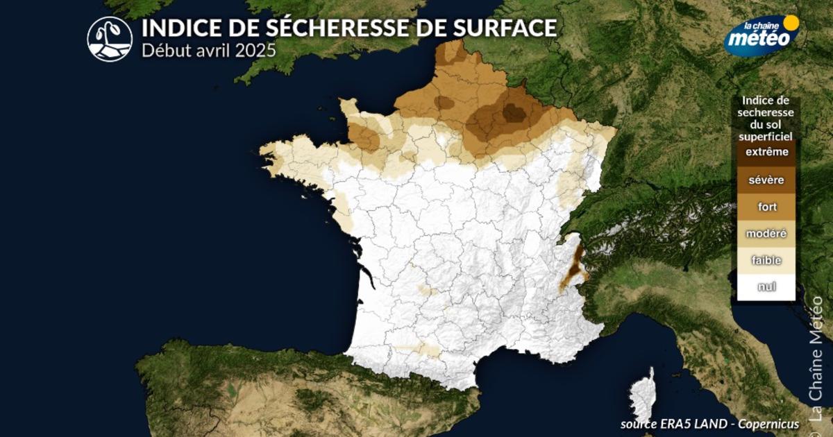 Sols secs en surface au nord-est : une amélioration pluvieuse en vue à partir de dimanche – Actualités La Chaîne Météo