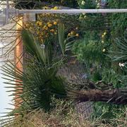 Bollezeele 11/04/2025